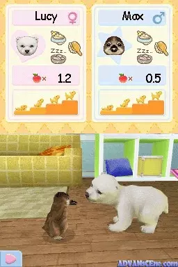 Image n° 3 - screenshots : Petz Nursery 2